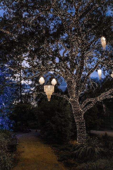 redding garden of lights photos|REDDING GARDEN OF LIGHTS 2024 .
